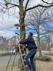 Vogelgarten-Naturprojekt: Helge P. bringt Nisthilfen an Bäume und Wände an.